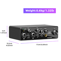 Kartu Suara Audio Profesional RX2 ASIO 2 Kanal Antarmuka Audio USB untuk Rekaman Langsung