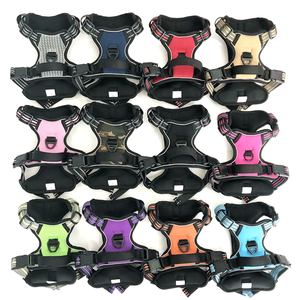 Yeni İnovasyon Köpek Tasması Seti Yumuşak Dolgulu Polyester Çevre Dostu Ayarlanabilir Dayanıklı Lüks Moda Tasarım Özel Evcil Hayvan Malzemeleri - Product Image 1