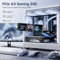FANXIANG S790E M.2 2280 SSD 1TB NVMe PCIe 4.0 Internal Solid State Drive 600TBW OEM Pasokan Massal Sistem Builder Tersedia di Stok