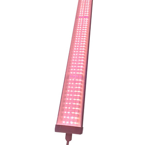 <span class=keywords><strong>Lampe</strong></span> <span class=keywords><strong>de</strong></span> <span class=keywords><strong>culture</strong></span> LED T5 à spectre complet, étanche IP65, quatre rangées, <span class=keywords><strong>pour</strong></span> plantes succulentes, coloration UV, supplémentaire <span class=keywords><strong>pour</strong></span> <span class=keywords><strong>semis</strong></span> <span class=keywords><strong>de</strong></span> fleurs - Product Image 5