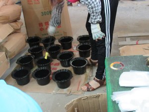 Best Services <strong>Supplier</strong> Quality <strong>Management</strong> Process - Product Image 4