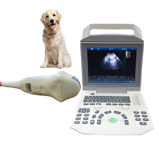 SYA-150_Vet Ultrasonic Diagnostic Imaging System Ultrasound Scanner Digital Ultrasound Portable Laptop B/W Ultrasound Machine