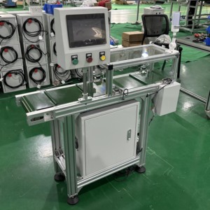 Sistema de báscula de cinta transportadora de pesaje Bifa automático para bolsa - Product Image 5