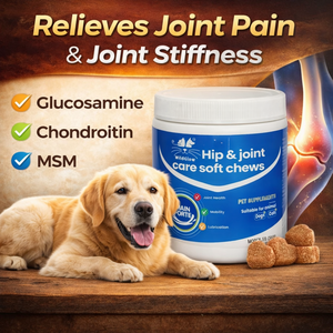 Friandises à mâcher vitaminées pour animaux de compagnie avec extraits naturels de plantes pour chiens et chats - Absorption rapide, soutien immunitaire, digestif, articulaire et <span class=keywords><strong>cardiaque</strong></span> - Product Image 6