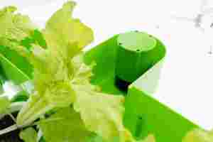 Professional Hydroponics Aquaponics Greenhouse Farming Kit Large Plant <b>Pot</b> Growing System Indoor Outdoor Vegetables <b>Herbs</b> Flower - Product Image 3