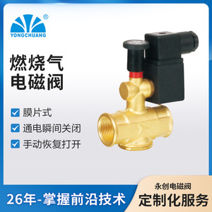 Yongchuang Ycm51 Diaphragm Solenoid Valve For Natural Gas Cooktop Electric Control Built-In Installation - Product Image 1