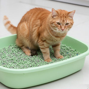 Areia para Gato de Tofu Natural OEM/ODM com Boa Agregação e Desodorização e Lifeca - Product Image 1