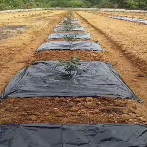 Malla Antihierbas Agrícola de Nuevo Tipo, Tejida en PP, Duradera y Transpirable, Membrana Negra para Control de Malezas de 3 a 5 Años - Product Image 6