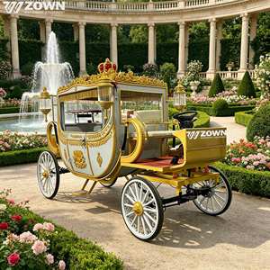 Chariot Électrique Robuste pour Transport de Chevaux, Batterie 60V 80A, Roues Solides, Sièges Confortables pour Zones Touristiques et Transport Spécialisé - Product Image 1