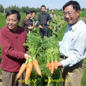 SAP Suelo agrícola Plantación de árboles Fertilizante Cuenta absorbente de agua Hidrogeles de polímero superabsorbente Agente de retención de agua SAP - Product Image 3