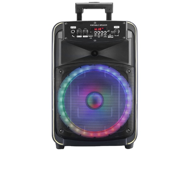 8 Inch Portable Party Speakers Dynamic Light Show Dj Outdoor Speaker with Microphone Speaker RX-8148