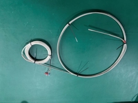 Sonde à vis en acier inoxydable OEM ODM à prix abordable, capteur haute température, thermocouple RTD PT100 IP65