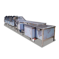 Fruitwas- en sorteermachine, geïntegreerd reinigen, sorteren, verheffen, voor appels, citrusvruchten etc.