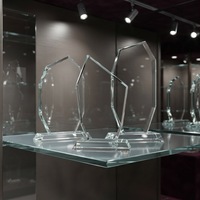 Plaques de trophées en verre vierges pour sublimation, vente en gros à prix abordable