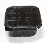Boîte Bento Auto-Chauffante Sans Flamme à Cordon de Tirage pour Plats Chauds – Idéale pour les Voyages et l'Utilisation en Extérieur