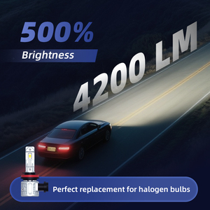 LED ampuller Halogen 6500K <span class=keywords><strong>Xenon</strong></span> beyaz Mini boyutu HB4 9006 H7 H8 <span class=keywords><strong>H11</strong></span> halojen değiştirme için 9012 kablosuz ampul - Product Image 4