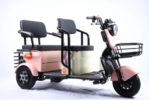 Tricycles électriques LTL 2026 à succès, 2 rangées, vente directe usine, batterie lithium 60V 600W/800W, vitesse max 38km/h, transport enfant - Product Image 5