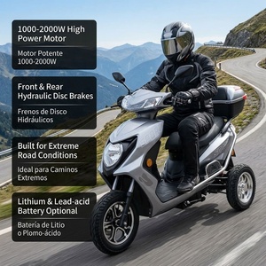 Tricycle électrique professionnel à <span class=keywords><strong>3</strong></span> <span class=keywords><strong>roues</strong></span>, <span class=keywords><strong>moto</strong></span> 1000W 1500W 2000W pour les routes montagneuses et les pentes raides, avec rangement arrière pour le transport de marchandises - Product Image 5