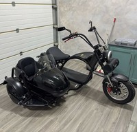 Scooter électrique Sidecar 4000W, pneus larges, GPS, étanche, pliable, batterie lithium, longue autonomie, 50 km/h, adulte, pour chien