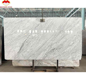Carreaux de <span class=keywords><strong>marbre</strong></span> <span class=keywords><strong>blanc</strong></span> de Carrare italien 24x24 <span class=keywords><strong>Prix</strong></span> du <span class=keywords><strong>marbre</strong></span> en <span class=keywords><strong>m2</strong></span> <span class=keywords><strong>Prix</strong></span> du <span class=keywords><strong>marbre</strong></span> <span class=keywords><strong>blanc</strong></span> de Carrare italien pour les murs et les escaliers - Product Image 6