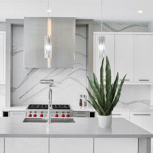 <span class=keywords><strong>Planta</strong></span> Artificial Bossion Nearly Natural, <span class=keywords><strong>Planta</strong></span> Falsa con <span class=keywords><strong>Maceta</strong></span>, Sansevieria, <span class=keywords><strong>Planta</strong></span> Serpiente Artificial - Product Image 3
