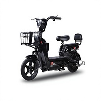 Nouveau Vélo Électrique 350W 25km/h Conforme à la Norme Nationale 2026 pour Seniors, Compact, Homologuable, Unisexe