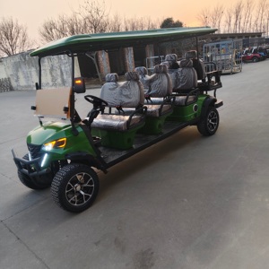 Voiturette <span class=keywords><strong>de</strong></span> golf électrique <span class=keywords><strong>de</strong></span> conception nouvelle, véhicule électrique <span class=keywords><strong>de</strong></span> <span class=keywords><strong>tourisme</strong></span>, voiturette <span class=keywords><strong>de</strong></span> golf tout-terrain 8 places pour la chasse, certifiée CE/DOT - Product Image 1