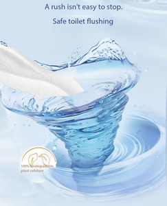 Lingettes hydratantes jetables écologiques non tissées pour soins féminins, produits d'hygiène et de santé, personnalisables OEM/ODM - Product Image 2