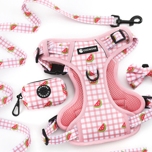 Set Harnesses Anjing Custom Mewah, Kalung & Tali Anjing dengan Klip Depan, Harnesses Anjing yang Dapat Disesuaikan, Set Harnesses Hewan Peliharaan dengan Branding Custom Lengkap - Product Image 2