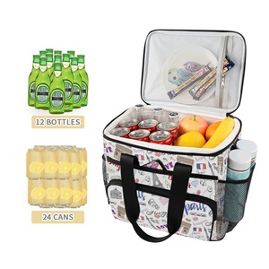 Factory Supply Custom Puakenikeni Hawaiian Prints Student Waterproof and Insulated Lunch Bag Print Cooler Bags for Sale - Product Image 3