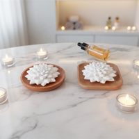 Diffuseur d'arômes passif en forme de fleur succulente, pierre parfumée aux huiles essentielles pour la décoration de la maison, ornement, cadeau désodorisant pour le salon