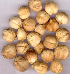 Erbe cinesi intere naturale <span class=keywords><strong>Elettaria</strong></span> cardamomo premio erba secca per la salute dell'apparato digerente - Product Image 2