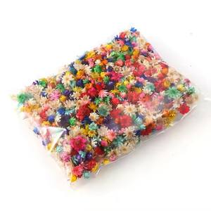 1 g/bolsa DIY flor <span class=keywords><strong>seca</strong></span> Brasil pequeña estrella flor Natural pequeñas flores secas para Resina epoxi arte uñas jabón fabricación de velas perfumadas - Product Image 6