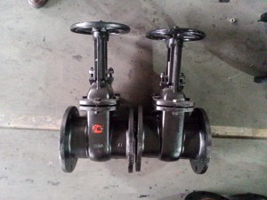 Válvula de Compuerta de Hierro Fundido con Asiento Metálico Ascendente DN50 - DN400 Z44/41T-10 PN10 - Product Image 3