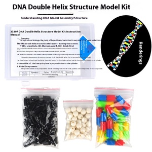 DNA-Doppelhelix-Struktur modell Kunststoff Biologische experimentelle Ausrüstung Lehr instrument Desoxy ribose Genetisches Gen - Product Image 4