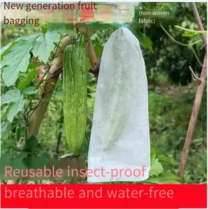 Wasserdichter nicht gewebter Obst- und Gemüse-Beutel mit Ziehband-Versiegelungsgriff insektenschutz speziell für Melone Traube sonstige Früchte