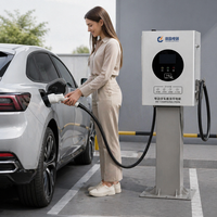 Cargador Rápido de CC de 40kW de Nivel Básico con Conector Único CCS2 CHAdeMO GB/T OCPP 1.6J para Uso Urbano y Comercial Ligero