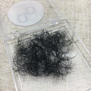 Venta al por mayor de extensiones de pestañas de marca blanca, abanicos sueltos Promade, abanicos prefabricados de base puntiaguda, abanicos sueltos negros mate C CC D DD Promade - Product Image 3