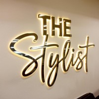 Enseigne lumineuse personnalisée en acier inoxydable avec logo rétroéclairé, lettres LED, enseigne murale illuminée pour réception, bureau, devanture de magasin, salon, hôtel