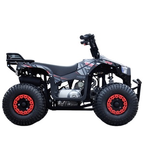 Cuatrimoto ATV de 110cc, <span class=keywords><strong>Dos</strong></span> <span class=keywords><strong>Tiempos</strong></span>, Gasolina, 4x2, para Niños y Adolescentes, con Certificación CE - Product Image 6