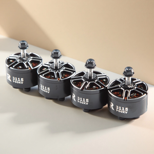 Moteur sans balais R3115 1300KV/1700KV 3-6S pour drone de course <span class=keywords><strong>RC</strong></span> X-Class X8Pro Protek60 de 10 pouces, <span class=keywords><strong>hélicoptère</strong></span> <span class=keywords><strong>RC</strong></span> - Product Image 5