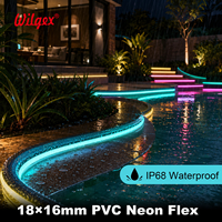 Ruban LED Néon Flexible en PVC 18x16mm, 50m, Longue Durée de Vie, Fourniture Directe Usine, pour Décoration de Ponts et Aménagements Paysagers