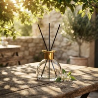 Diffuseur de parfum de luxe en gros 100 ml, bouteille en verre globe à marque privée, sans alcool, sans BPA, aromathérapie longue durée pour l'air ambiant