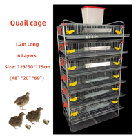 Cage à cailles portable galvanisée de type H à 6 niveaux avec bac à fumier, mangeoire et abreuvoir pour l'élevage des cailles