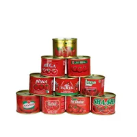 Sıcak satış OEM marka konserve domates püresi 70g çift konsantre domates püresi Brix 28-30