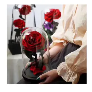 永远稳定的豪华保存花玫瑰保存红色单玫瑰在玻璃圆顶