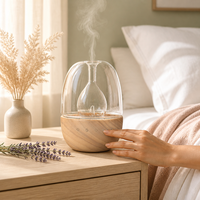 Diffuseur d'arômes en bois véritable en forme d'œuf, 30 ml, lumière RGB 7 couleurs, minuterie, USB-C, cadeau, maison, chambre, OEM, noyer rouge, bois naturel, 50 pièces