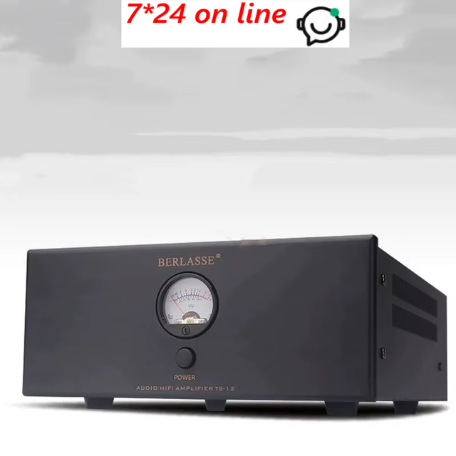 TS-12 High-Power Mono Power Amplifier 250W HIFI Separate Power Amplifier with Upgraded Toroidal Transformer Input