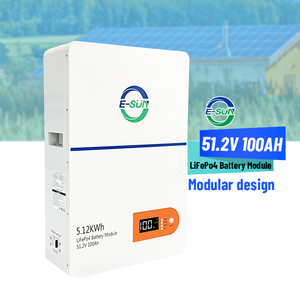 <span class=keywords><strong>Batterie</strong></span> murale <span class=keywords><strong>Lifepo4</strong></span> 51,2 V 100 Ah 314 Ah pour système de stockage d'énergie 5,12 kWh, 5000 cycles, pack de batteries au lithium <span class=keywords><strong>Lifepo4</strong></span> - Product Image 3
