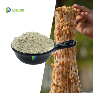 SLBIO fournit de l'extrait de <span class=keywords><strong>Natto</strong></span> de haute qualité 60000FU/g Nattokinase de qualité alimentaire - Product Image 1